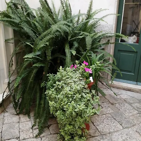 Dimora Sotto L'arco Feriehus Nardò
